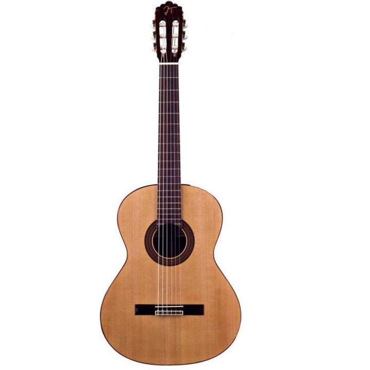 Acquista JOSE TORRES JTC-10 online | Merula Strumenti Musicali