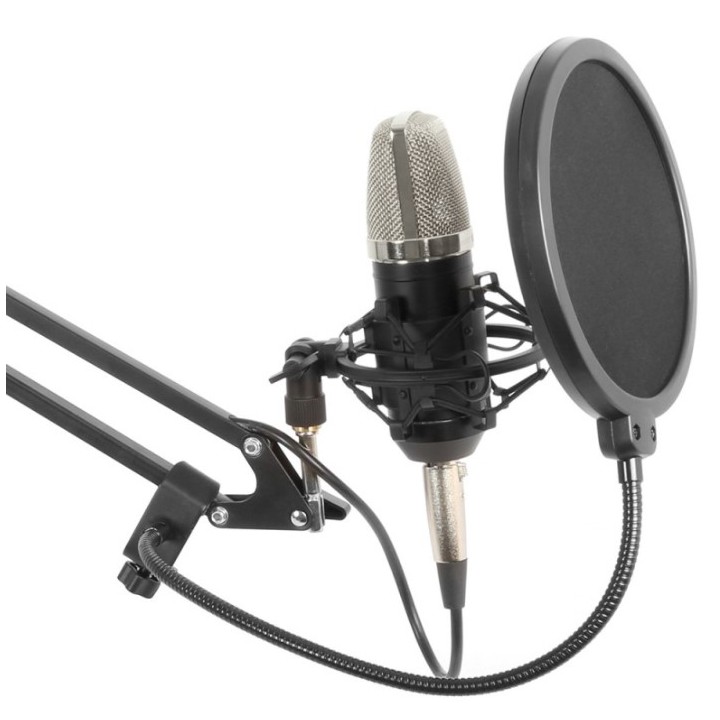 Acquista EGO TECHNOLOGIES M06 MICROPHONE POP FILTER 6" online | Merula Strumenti Musicali