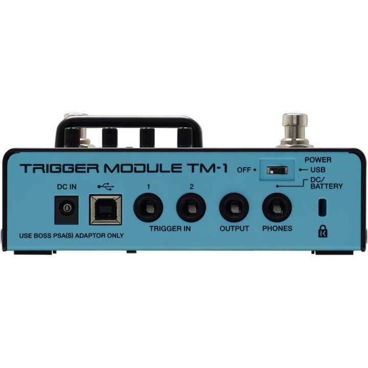 Roland - Tm-1