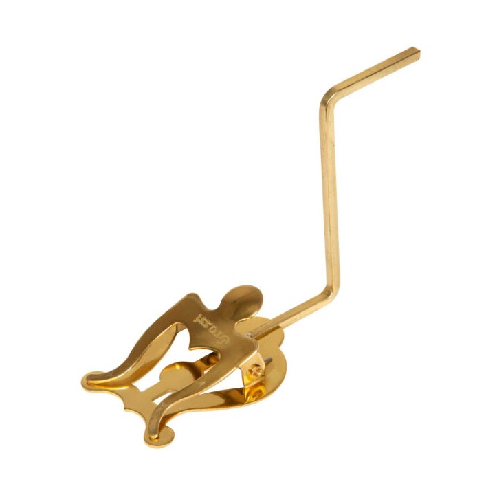 Acquista GRASSI LSTG LETTURINO SAX TENORE GOLD online | Merula Strumenti Musicali