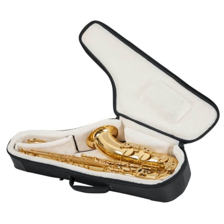 Acquista GATOR G-PG-TENORSAX BORSA SAX TENORE online | Merula Strumenti Musicali