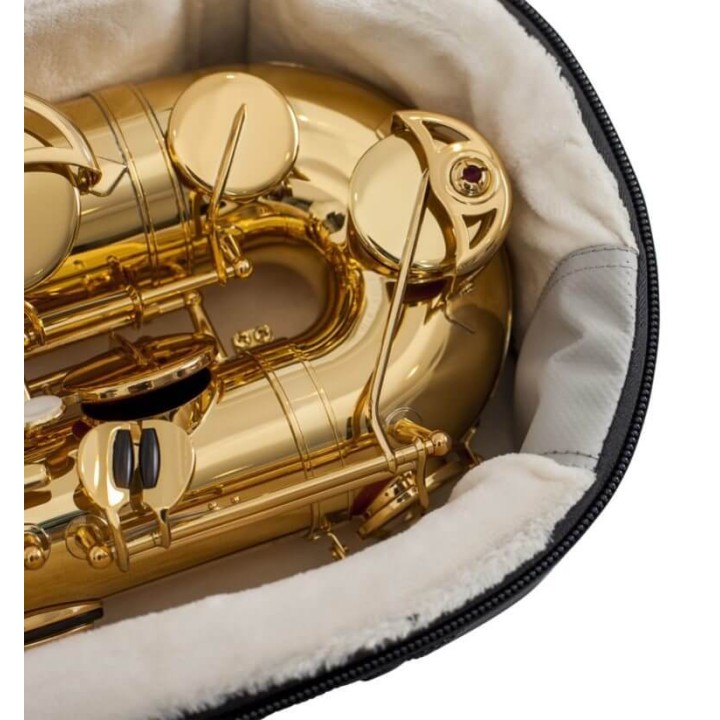 Acquista GATOR G-PG-TENORSAX BORSA SAX TENORE online | Merula Strumenti Musicali