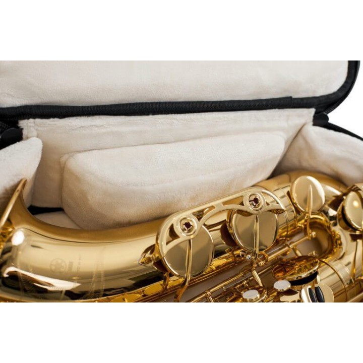 Acquista GATOR G-PG-TENORSAX BORSA SAX TENORE online | Merula Strumenti Musicali