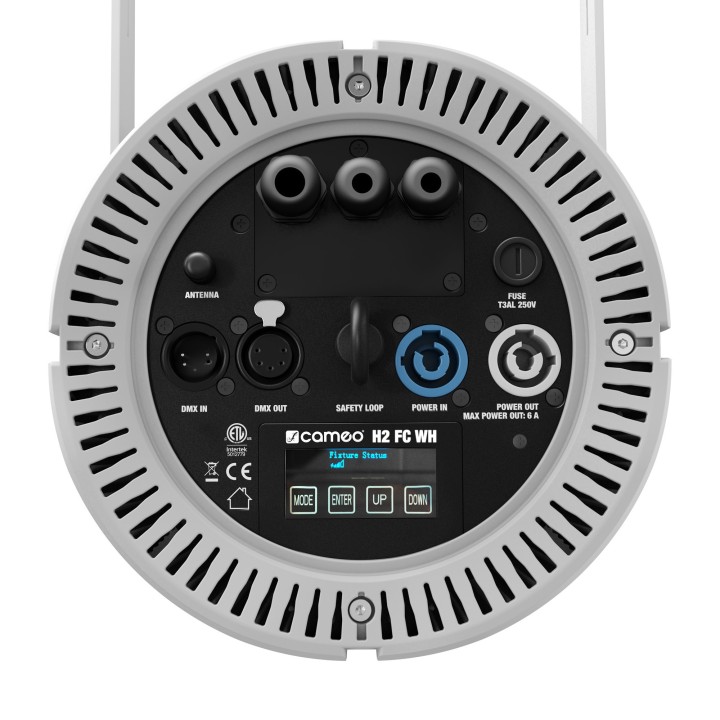 Acquista CAMEO Clh2fcwh online | Merula Strumenti Musicali