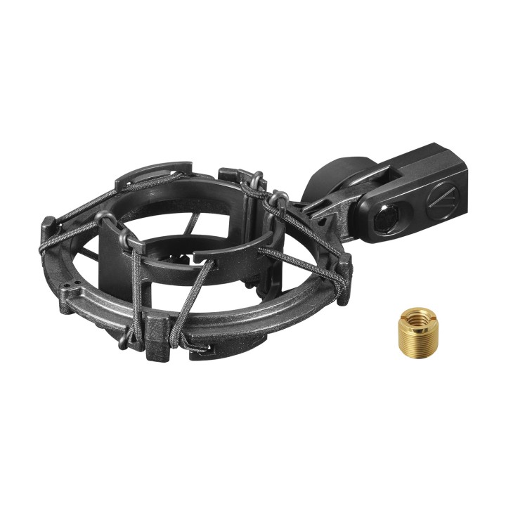 Acquista AUDIO-TECHNICA AT2020V CROMO online | Merula Strumenti Musicali