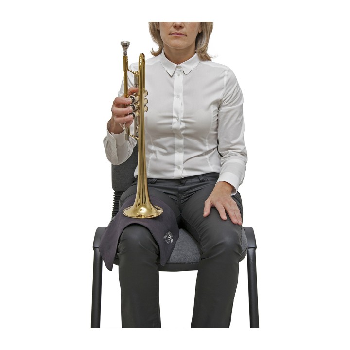 Acquista BG A62UD PANNO MICROFIBRA CONCERTO, UNIVERSALE | Merula Strumenti Musicali