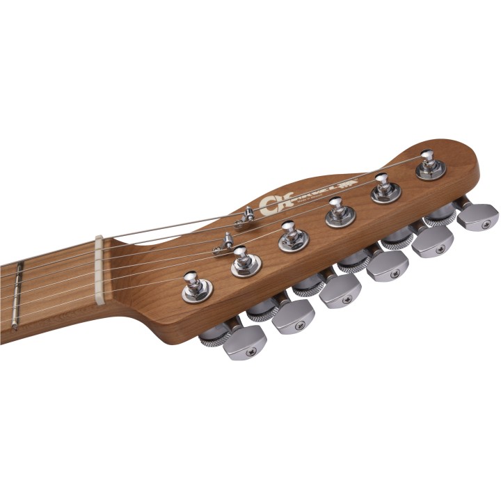 Acquista CHARVEL Pro-Mod So-Cal Style 2 24 Hh 2pt Cm Ash, Caramelized Maple Fingerboard, Natu online | Merula Strumenti Musicali