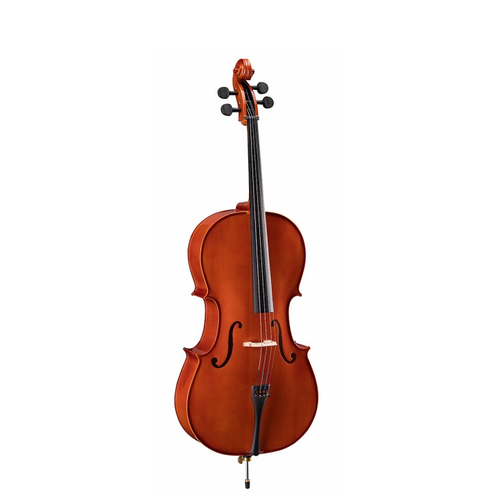 Acquista SOUNDSATION VSCE-12 Violoncello 1/2 online | Merula Strumenti Musicali