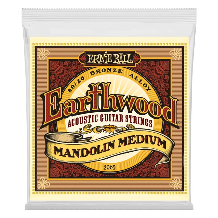 Acquista ERNIE BALL 2065 EARTHWOOD MANDOLIN MEDIUM TERMINATE AD ANELLO BRONZO 80/20 online | Merula Strumenti Musicali