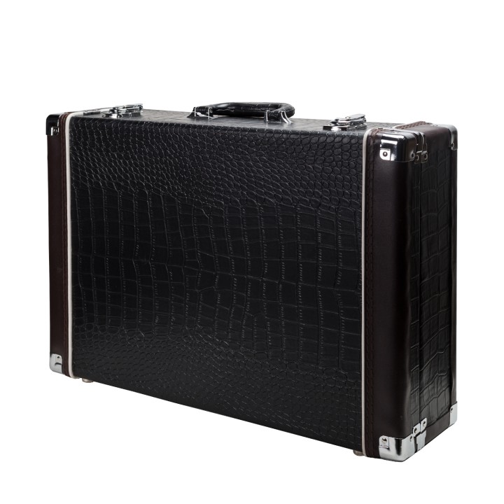 Acquista AVANTONE CV-12 BLA | Black Lion Audio online | Merula Strumenti Musicali