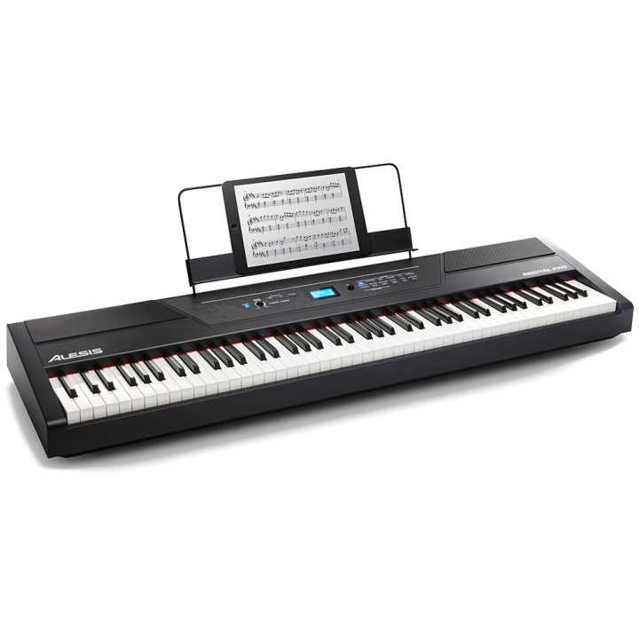 Alesis - Recital Pro | Merula Studenti Musicali