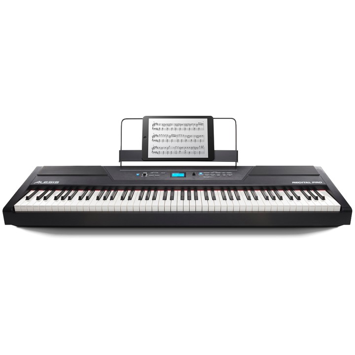 Alesis - Recital Pro | Merula Studenti Musicali