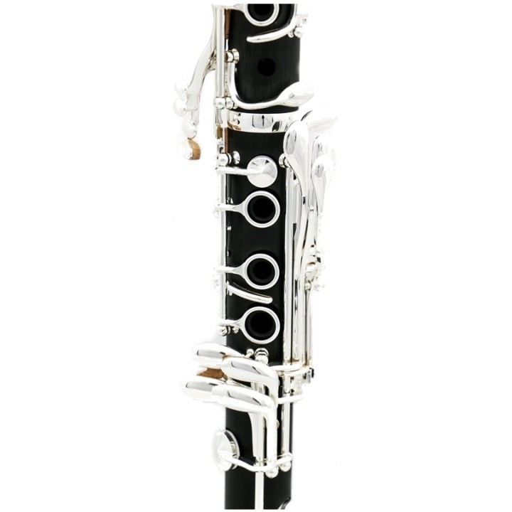 Acquista RIPAMONTI 50-1sl Clarinetto Sib online | Merula Strumenti Musicali