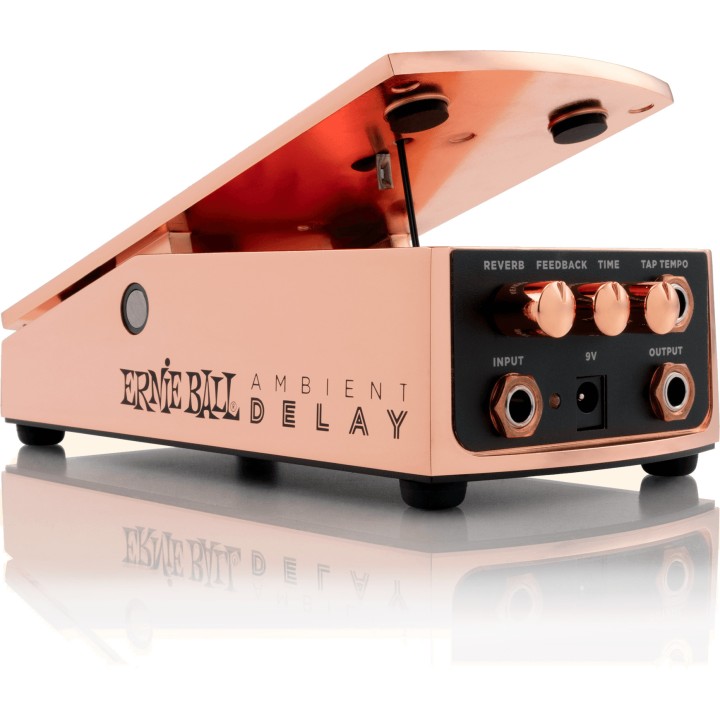 Acquista ERNIE BALL EB 6184 AMBIENT DELAY online | Merula Strumenti Musicali