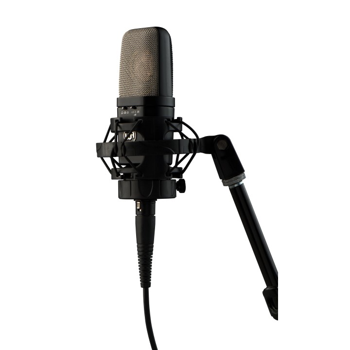 Acquista WARM AUDIO WA-14 online | Merula Strumenti Musicali