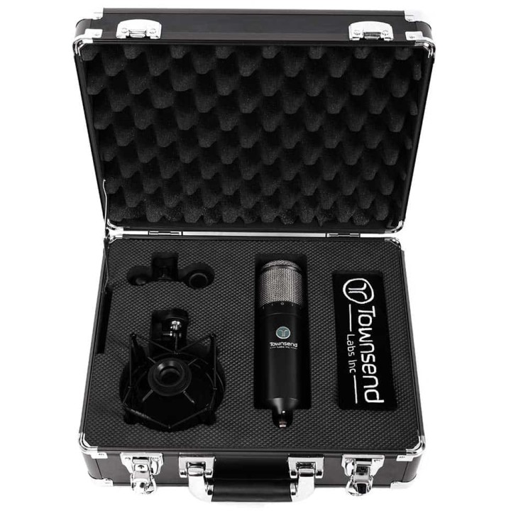 Acquista TOWNSEND LABS SPHERE L22 online | Merula Strumenti Musicali