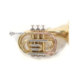Acquista ROY BENSON PT-302 TROMBA POCKET SIB LACCATA online | Merula Strumenti Musicali