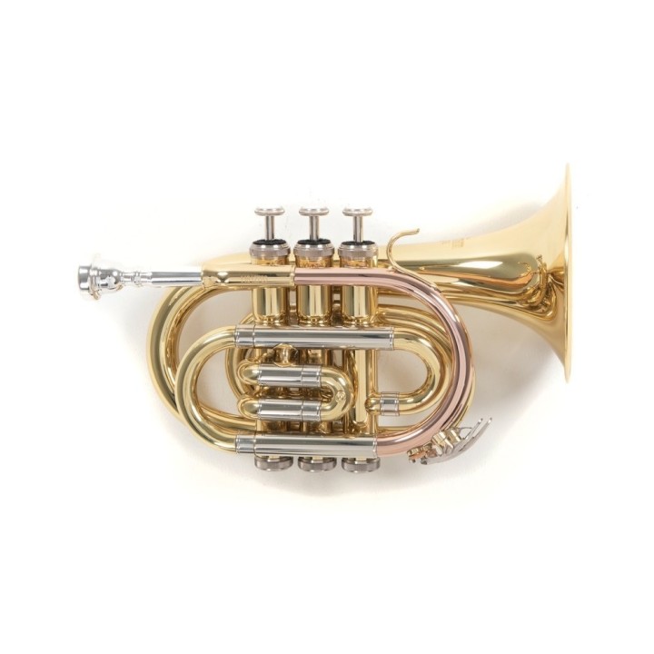 Acquista ROY BENSON PT-302 TROMBA POCKET SIB LACCATA online | Merula Strumenti Musicali