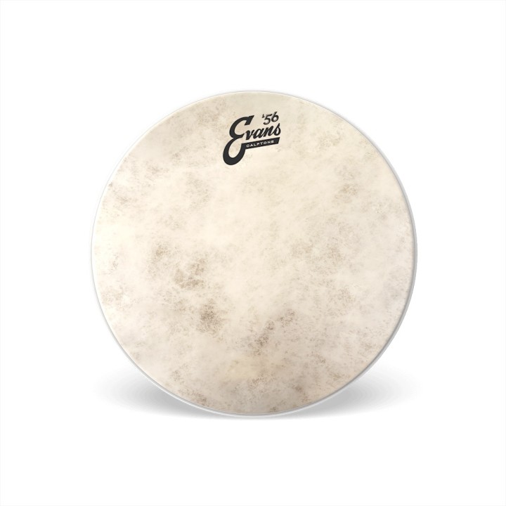 Acquista EVANS CALFTONE - TT12C7 online | Merula Strumenti Musicali