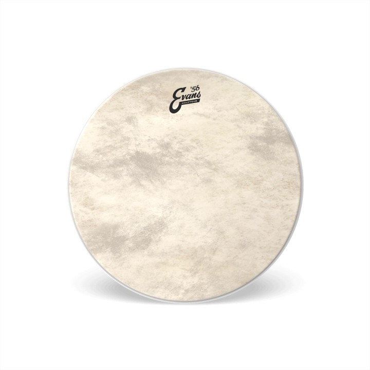 Acquista EVANS CALFTONE BASS - BD22CT online | Merula Strumenti Musicali