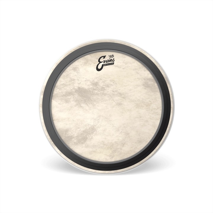 Acquista EVANS EMAD CALFTONE BASS - BD20EMADCT online | Merula Strumenti Musicali