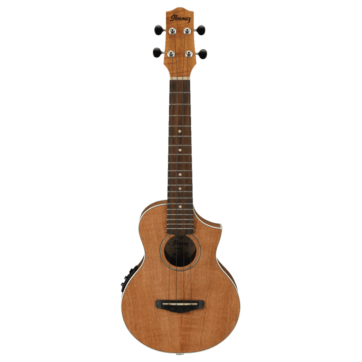 Acquista IBANEZ UEW15EOPN | Merula Strumenti Musicali