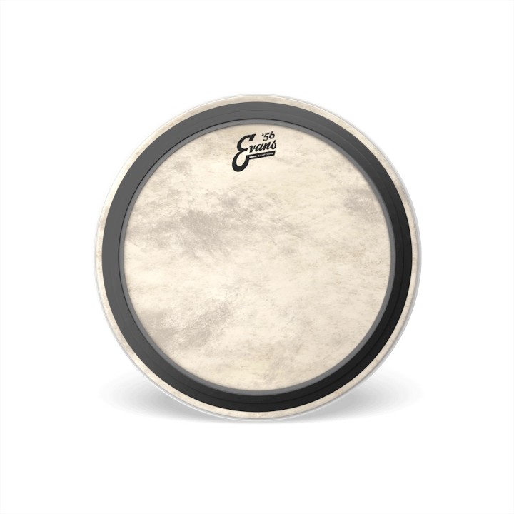 Acquista EVANS EMAD CALFTONE BASS - BD24EMADCT online | Merula Strumenti Musicali