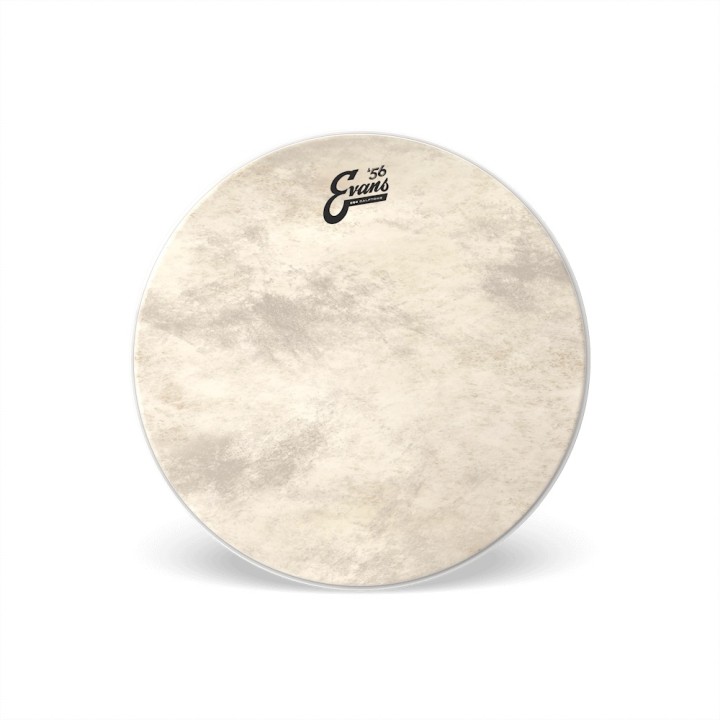 Acquista EVANS EQ4 CALFTONE - BD24GB4CT online | Merula Strumenti Musicali