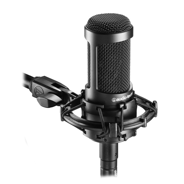 Acquista AUDIO-TECHNICA At2035 online | Merula Strumenti Musicali