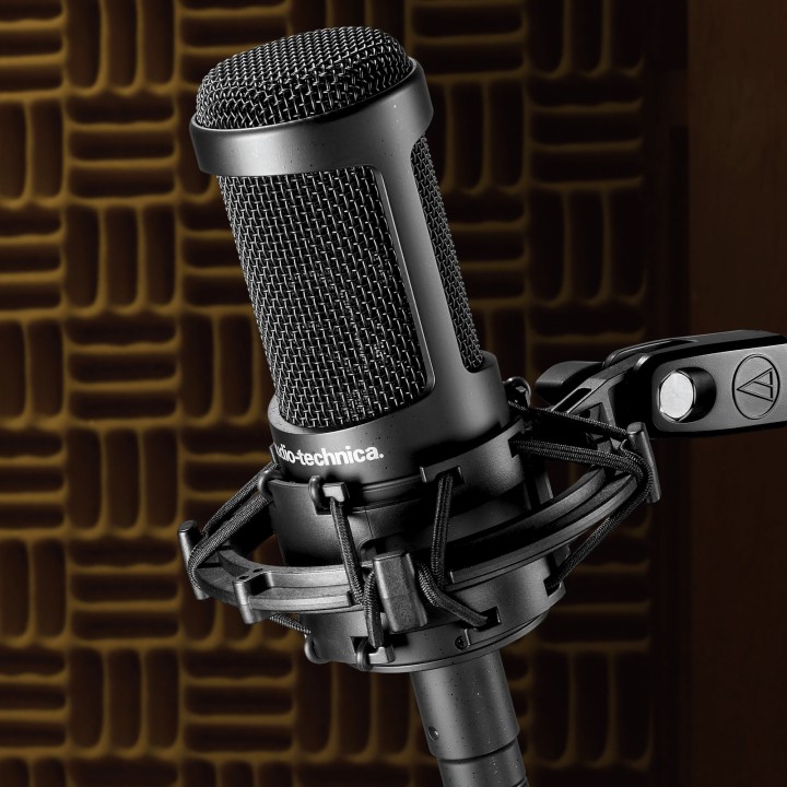 Acquista AUDIO-TECHNICA At2035 online | Merula Strumenti Musicali