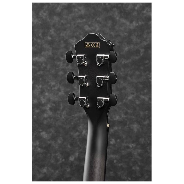 Acquista IBANEZ AEWC400-TKS online | Merula Strumenti Musicali