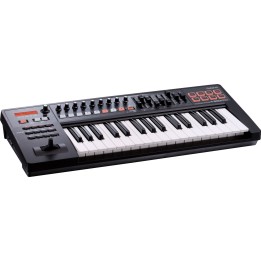 ROLAND - A-300PRO | Merula Strumenti Musicali