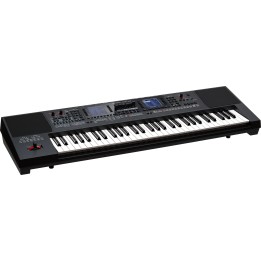 Acquista ROLAND E-A7 online | Merula Strumenti Musicali