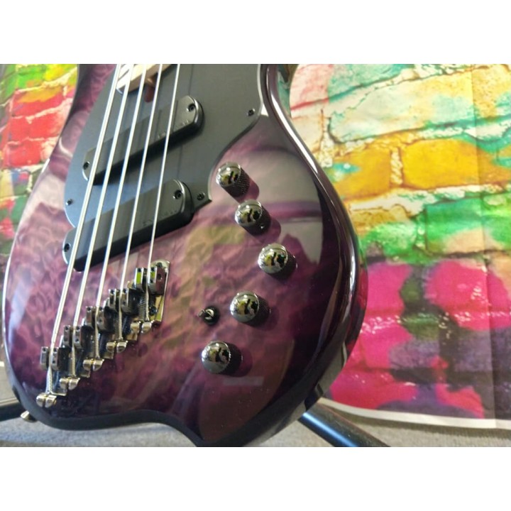 Acquista DINGWALL CB2-UV5M COMBUSTION 5 online | Merula Strumenti Musicali