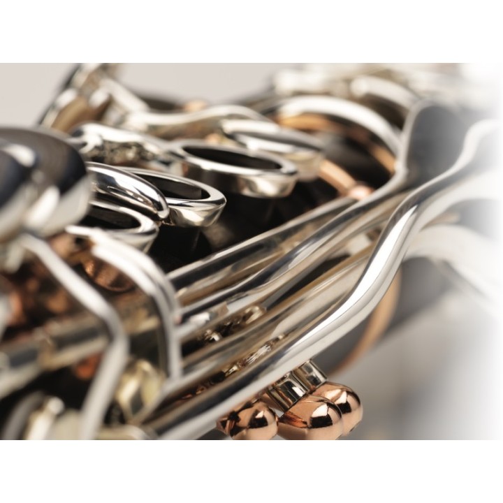 Acquista BUFFET CRAMPON LEGENDE - BC1156-L-2-0 CLARINETTO SIb online | Merula Strumenti Musicali