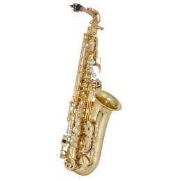 BUFFET CRAMPON | BC8101-1-0