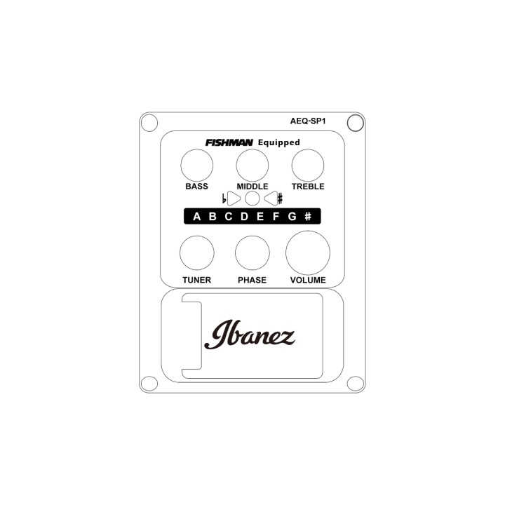 IBANEZ - AEWC11 TCB