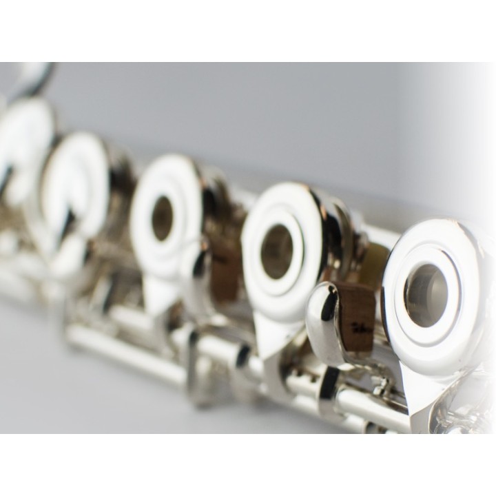 Acquista POWELL PS55BEF/40608 FLAUTO TRAVERSO online | Merula Strumenti Musicali