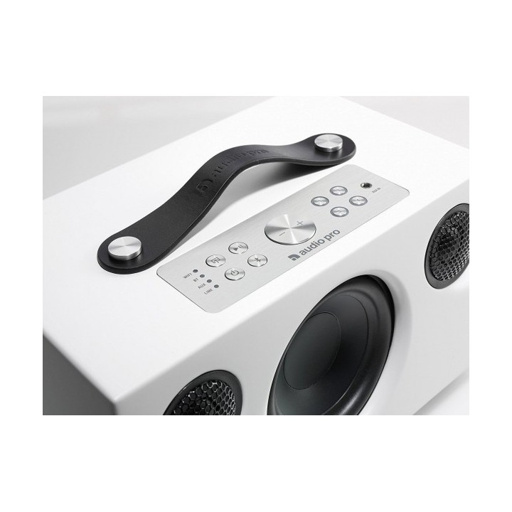 Acquista AUDIO PRO ADDON C5 | WHITE online | Merula Strumenti Musicali