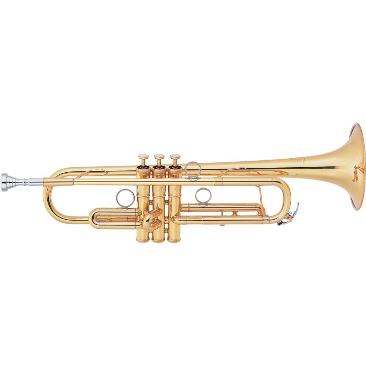 Acquista YAMAHA YTR8340EM02 TROMBA SIb CUSTOM online | Merula Strumenti Musicali