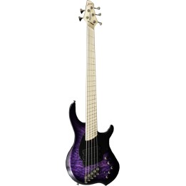 Acquista DINGWALL Cb3-Uv5m Combustion 5 Corde online | Merula Strumenti Musicali