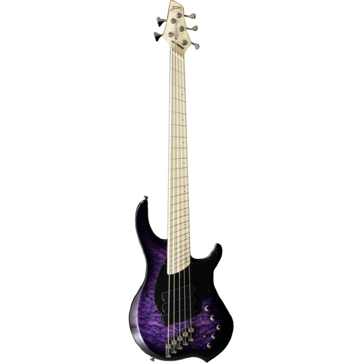 Acquista DINGWALL Cb3-Uv5m Combustion 5 Corde online | Merula Strumenti Musicali