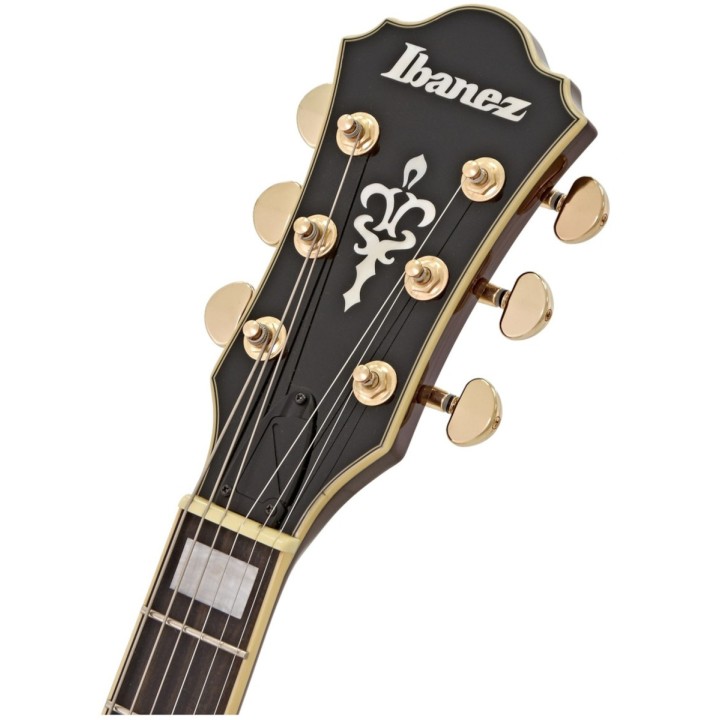 Acquista IBANEZ AS93ZWNT online | Merula Strumenti Musicali