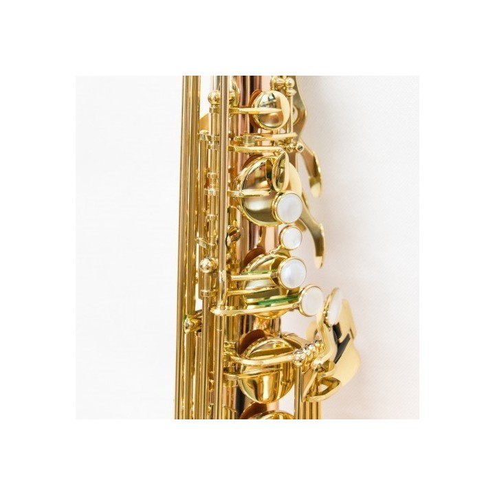 Acquista RIPAMONTI 5040vfrr-Ss Sax Tenore Sib Rame Rosa Special Serie online | Merula Strumenti Musicali
