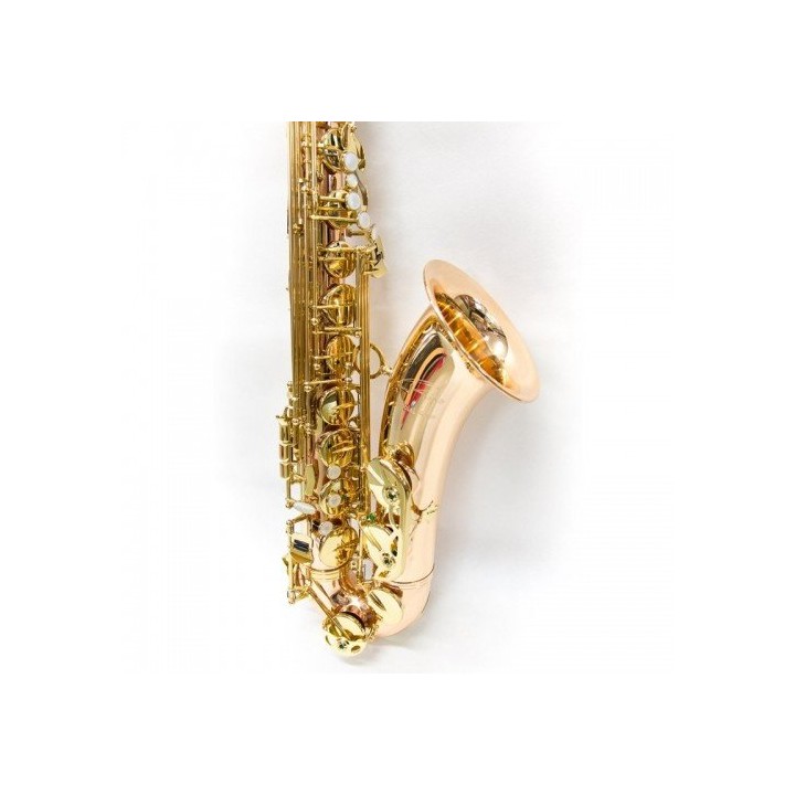 Acquista RIPAMONTI 5040vfrr-Ss Sax Tenore Sib Rame Rosa Special Serie online | Merula Strumenti Musicali
