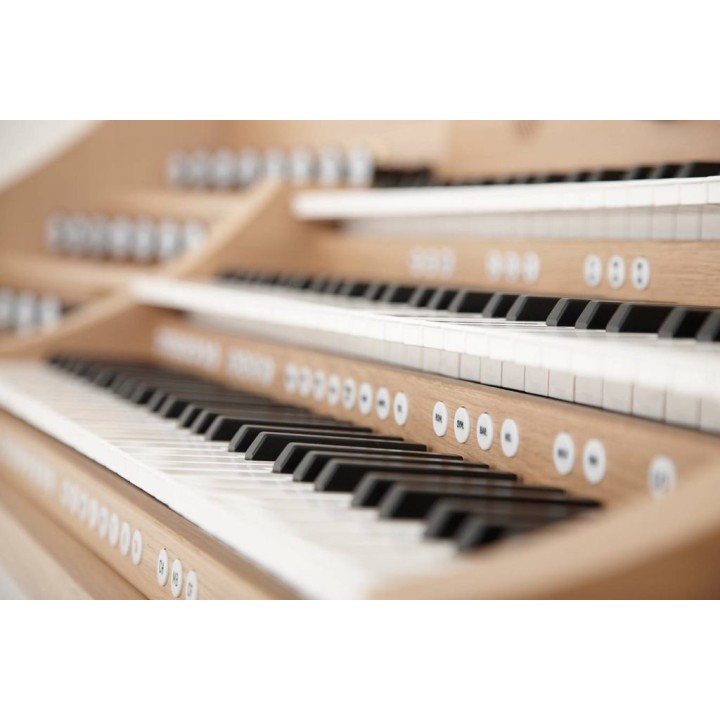 johannus studio 150 organo