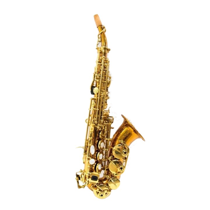 Acquista RIPAMONTI 5020VFRR SASSOFONO SOPRANO CURVO SIb online | Merula Strumenti Musicali