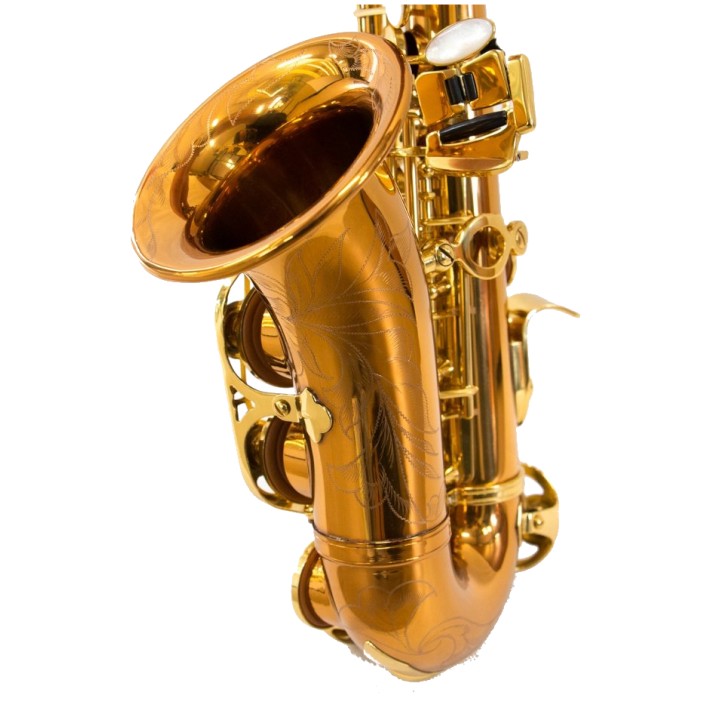 Acquista RIPAMONTI 5020VFRR SASSOFONO SOPRANO CURVO SIb online | Merula Strumenti Musicali