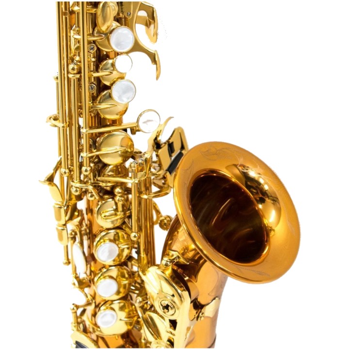 Acquista RIPAMONTI 5020VFRR SASSOFONO SOPRANO CURVO SIb online | Merula Strumenti Musicali