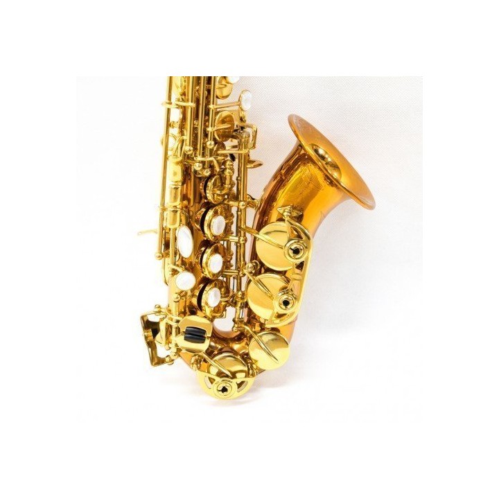 Acquista RIPAMONTI 5020VFRR SASSOFONO SOPRANO CURVO SIb online | Merula Strumenti Musicali